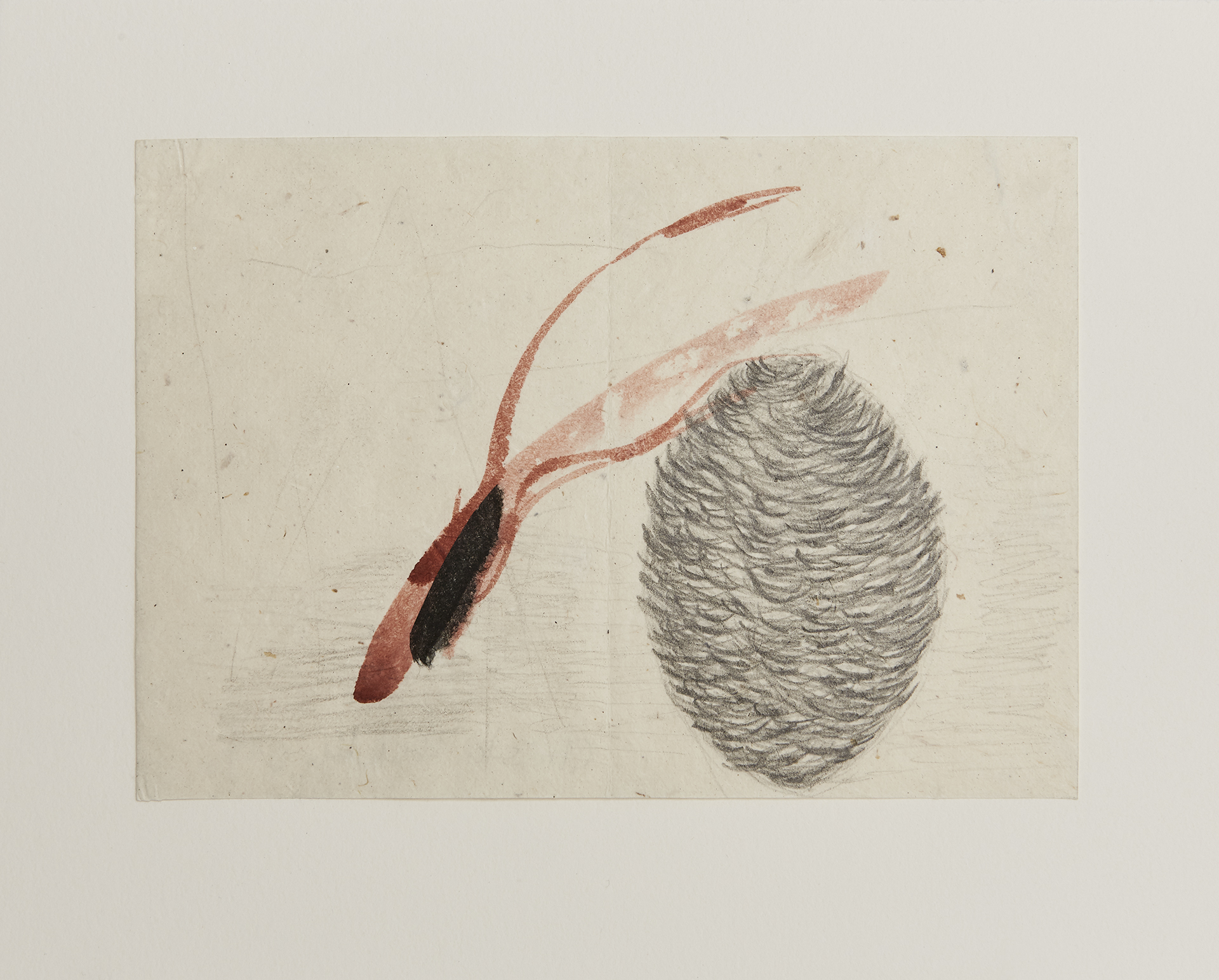 christa hostettler zeichnungen 1